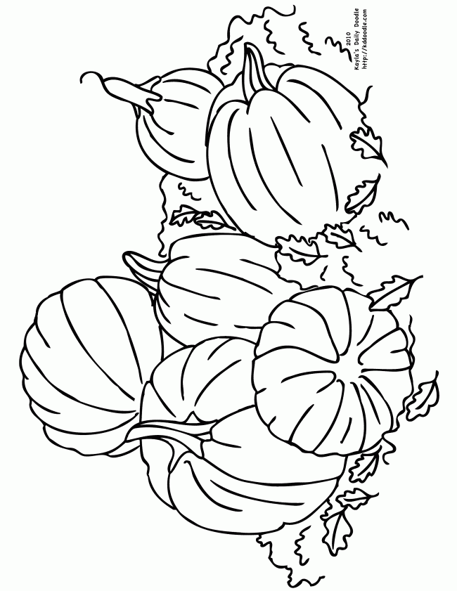 Download 36 Pumpkin Or Gourd Coloring Pages PNG PDF File